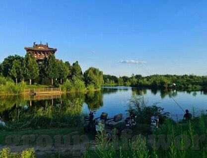 吃情世界杯-吃情世界杯，一场味蕾与激情的盛宴