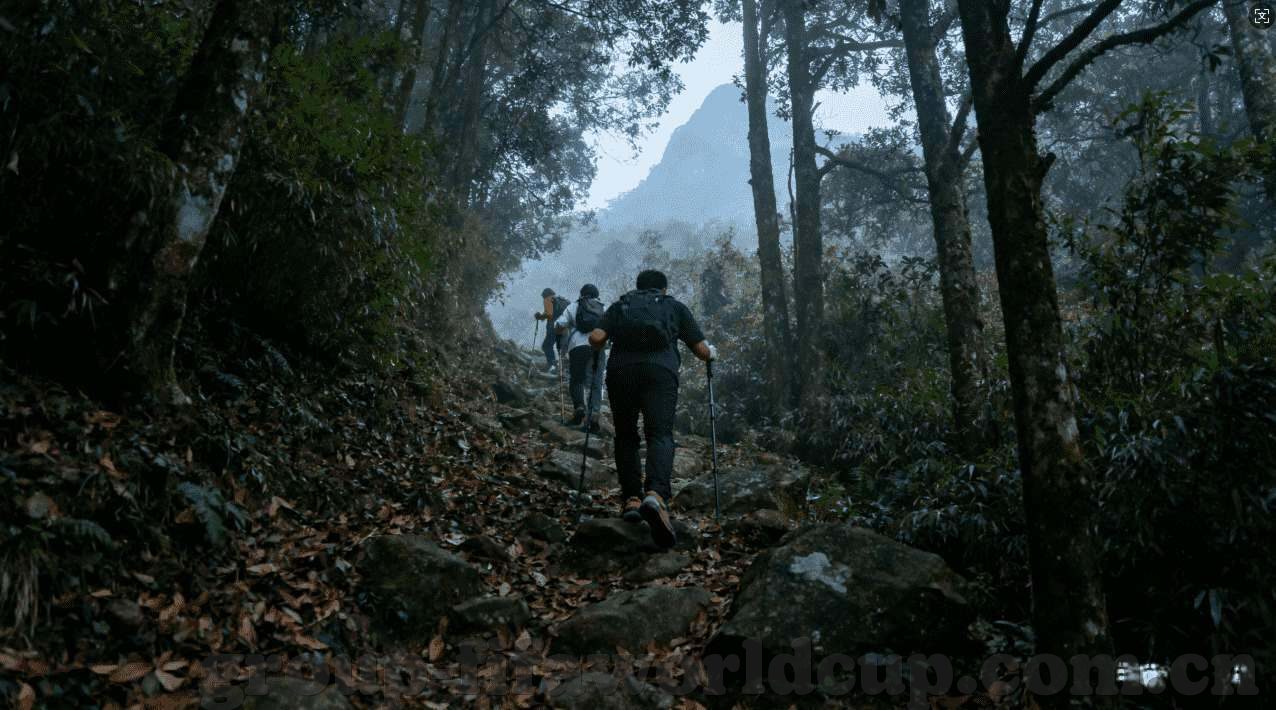 卡塔尔世界杯冠军预测-卡塔尔世界杯冠军预测，法国队能否续写辉煌